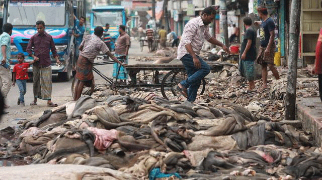 Discarded rawhides are seen on the streets. Photo: Prothom Alo