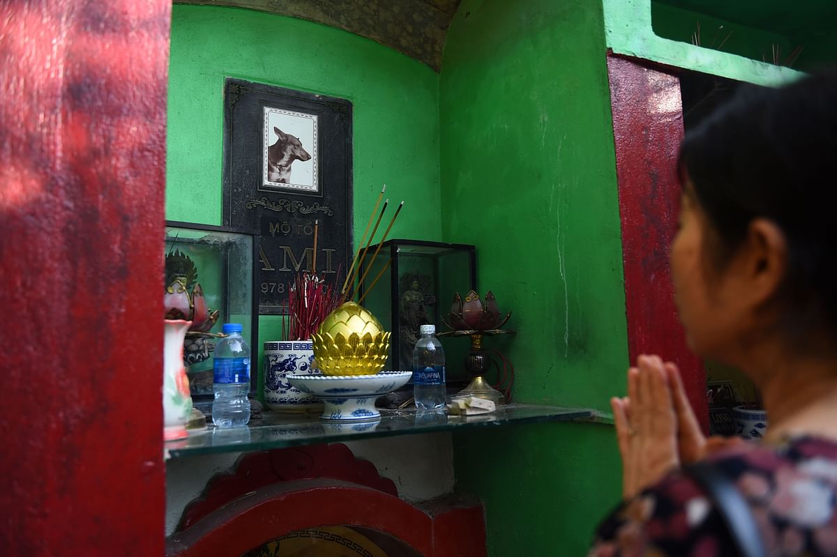 A woman prays before the plaque of her dog at `Te Dong Vat Nga` pagoda, which means all lives are equal, a cemetary for pets in Hanoi on 15 August 2019. Photo: AFP