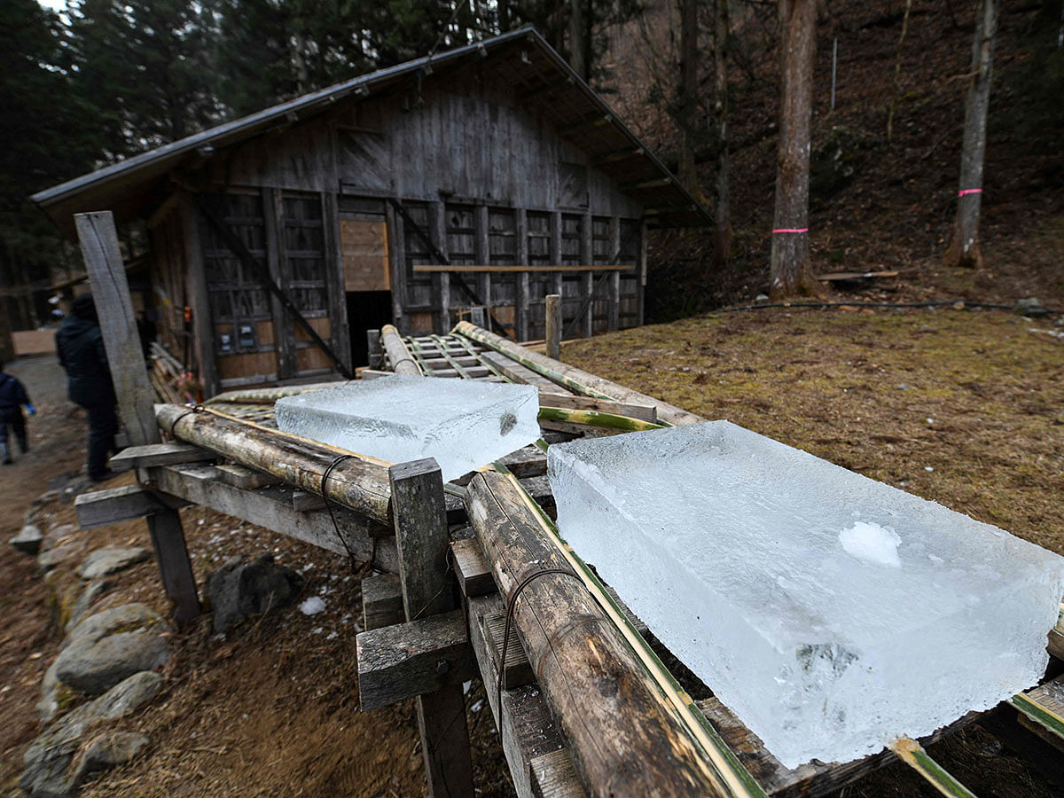 This picture taken on 10 January 2019 shows blocks of natural ice being moved on a bamboo rail after being cut from an open-air pool at a factory in Nikko, Tochigi prefecture. Photo: AFP