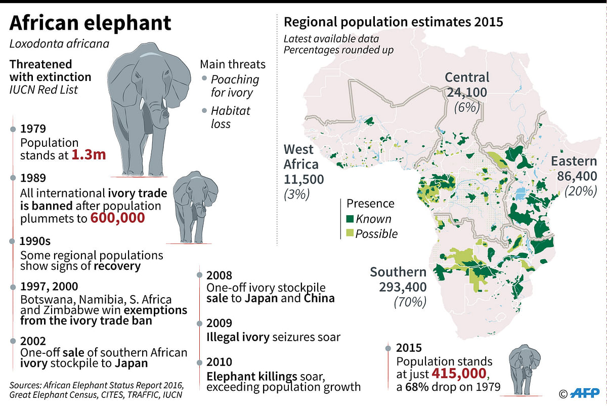 Map of Africa’s elephant populations, with chronology of species protection measures, the ivory trade ban and poaching. Photo: AFP