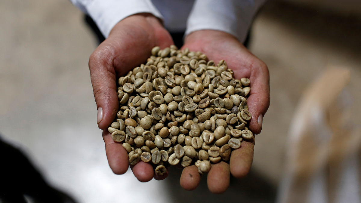 A worker shows coffee green beans at coffee company Simexco Dak Lak Limited in the town of Di An in Binh Duong province, Vietnam on 8 July 2019. Photo: Reuters