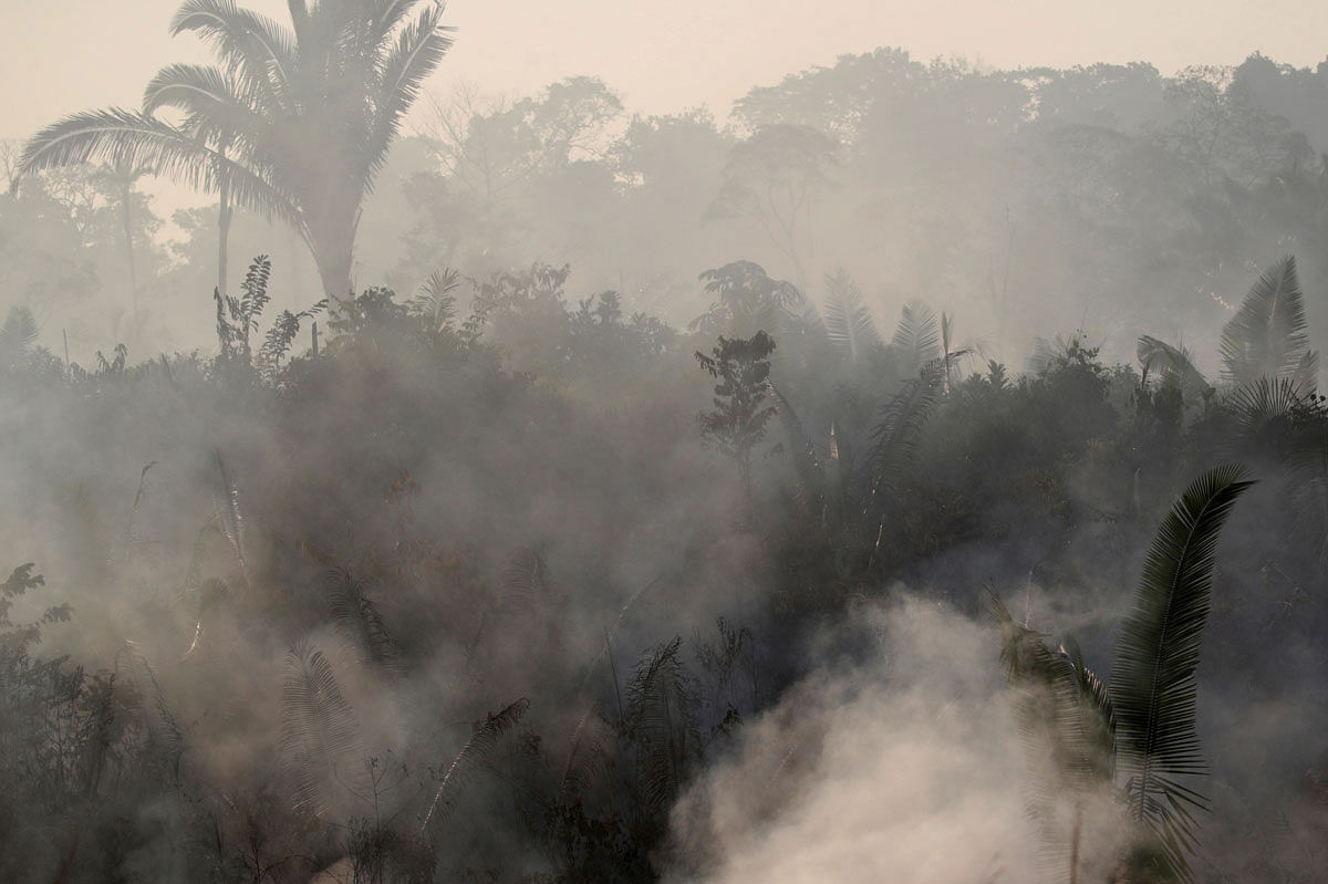 Smoke billows during a fire in an area of the Amazon rainforest near Humaita, Amazonas State, Brazil, Brazil on 14 August. Photo: Reuters