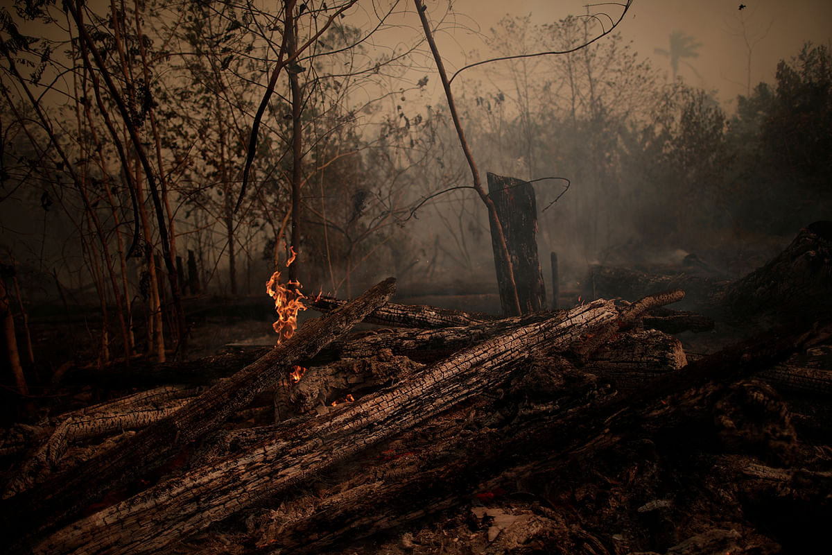 A burning tract of Amazon jungle is seen while as it is being cleared by loggers and farmers in Porto Velho, Brazil 23 August, 2019. Photo: Reuters  Why is part of the Amazon burning?