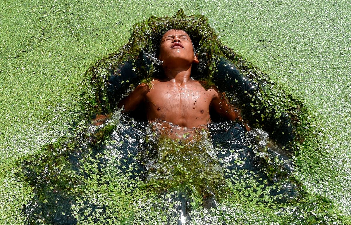 A boy jumps in a pond covered with algae at Kirtipur on the outskirts of Kathmandu on 23 August 2019. Photo: AFP