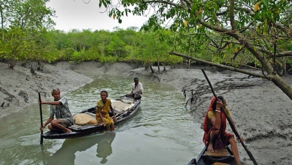 Fishermen row boat to catch fish in the Sundarbans. Photo: UNB