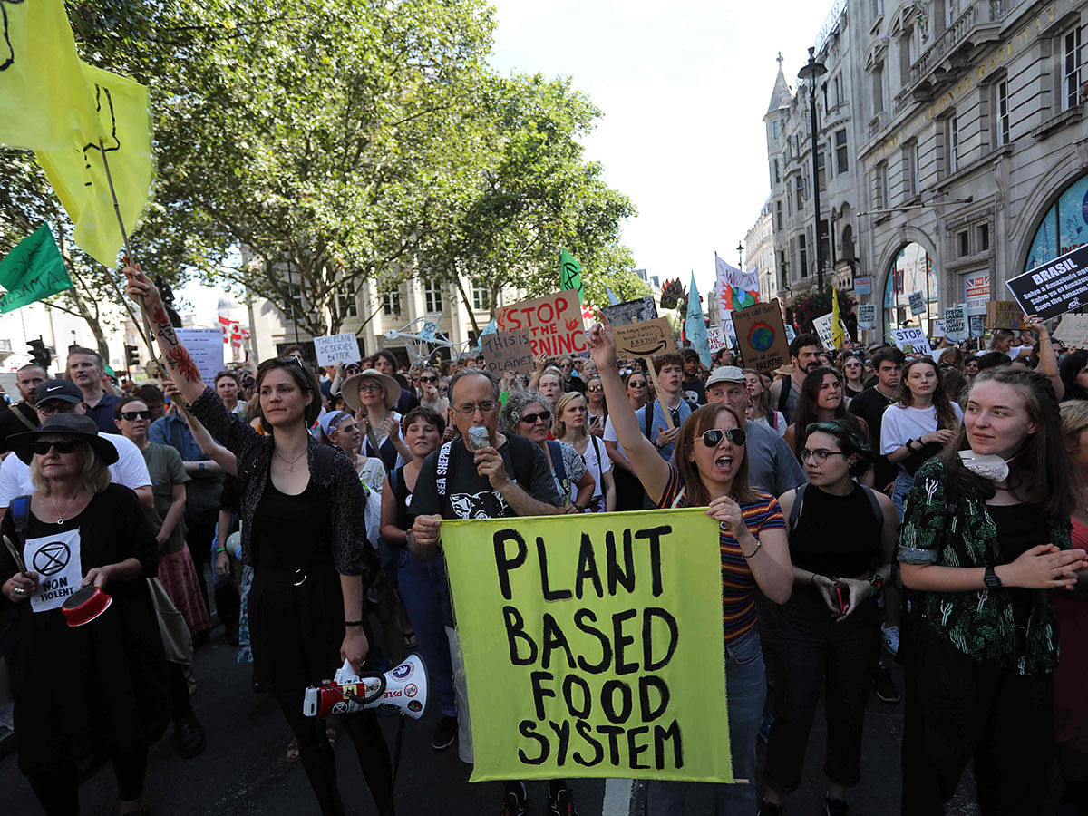 Protesters with placards and banners block the street during a demonstration organised by climate change activists from Extinction Rebellion outside the Brazilian embassy in central London on 23 August 2019 calling on Brazil to act to protect the Amazon rainforest from deforestation and fire. Photo: AFP