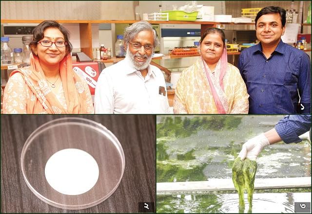Bangladeshi researchers who worked on inventing paper filter from microalgae – from left- Sharmin Jaman, Khondkar Siddique-e-Rabbani, Anwara Begum and Mohammed Almujaddade Alfasane. ii. Nanofilter  iii. Pithophora algae. Photo: Kabir Hossain