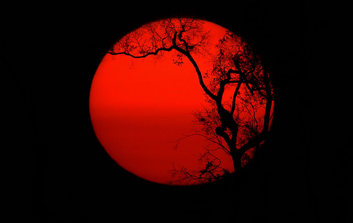 The sun sets behind burnt trees of the Amazon rainforest, south of Porto Velho on 27 August 2019. Brazil will accept foreign aid to help fight fires in the Amazon rainforest on the condition that the Latin American country controls the money, the president`s spokesman said Tuesday. Photo: AFP