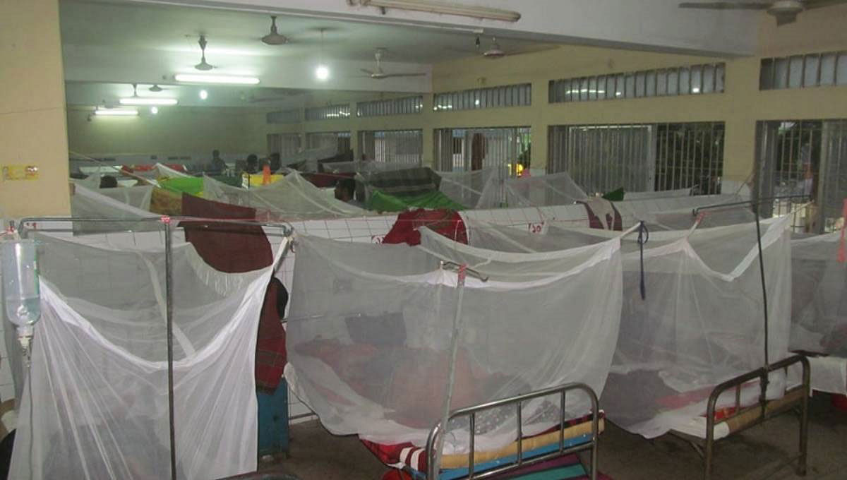 Dengue patients undergoing treatment at a hospital. Photo: UNB