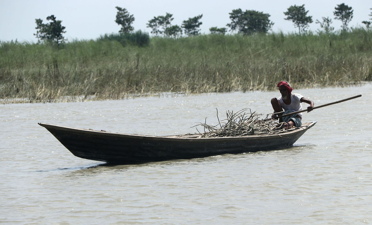 A man rows a boat along river Jamuna carrying timber from Digholkandi, Sariakandi, Bogura on 27 August. Photo: Soel Rana