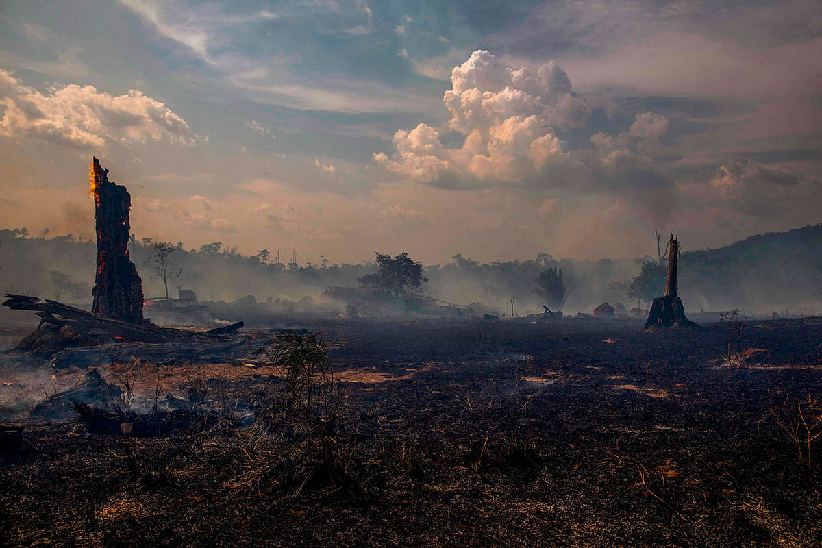 View of a burnt area of forest in Altamira, Para state, Brazil, on 27 August 2019. Brazil will accept foreign aid to help fight fires in the Amazon rainforest on the condition the Latin American country controls the money, the president`s spokesman said Tuesday. Photo: AFP