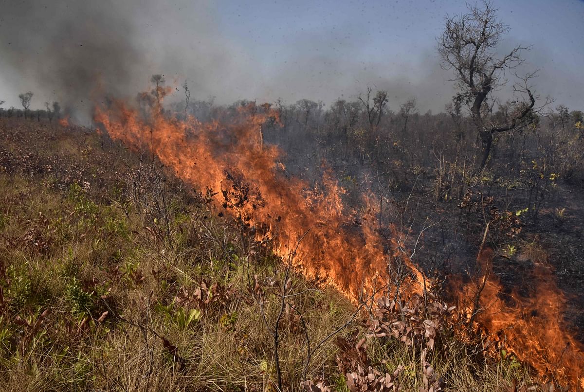 View of a fire near Charagua in Bolivia, on the border with Paraguay, south of the Amazon basin, on 29 August 2019. Photo: AFP