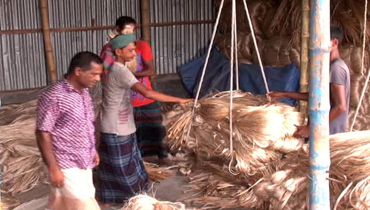 Better quality jute is being sold at maximum Tk 1,950 per maund, down from Tk 2,200 just before Eid-ul-Azha. Photo: UNB