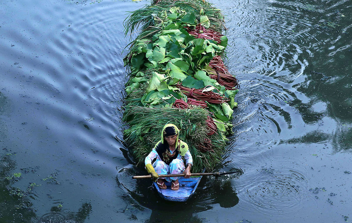 A Kashmiri woman rows a boat ferrying vegetables in Dal Lake during restrictions after scrapping of the special constitutional status for Kashmir by the Indian government, in Srinagar, 5 September, 2019. Photo: Reuters