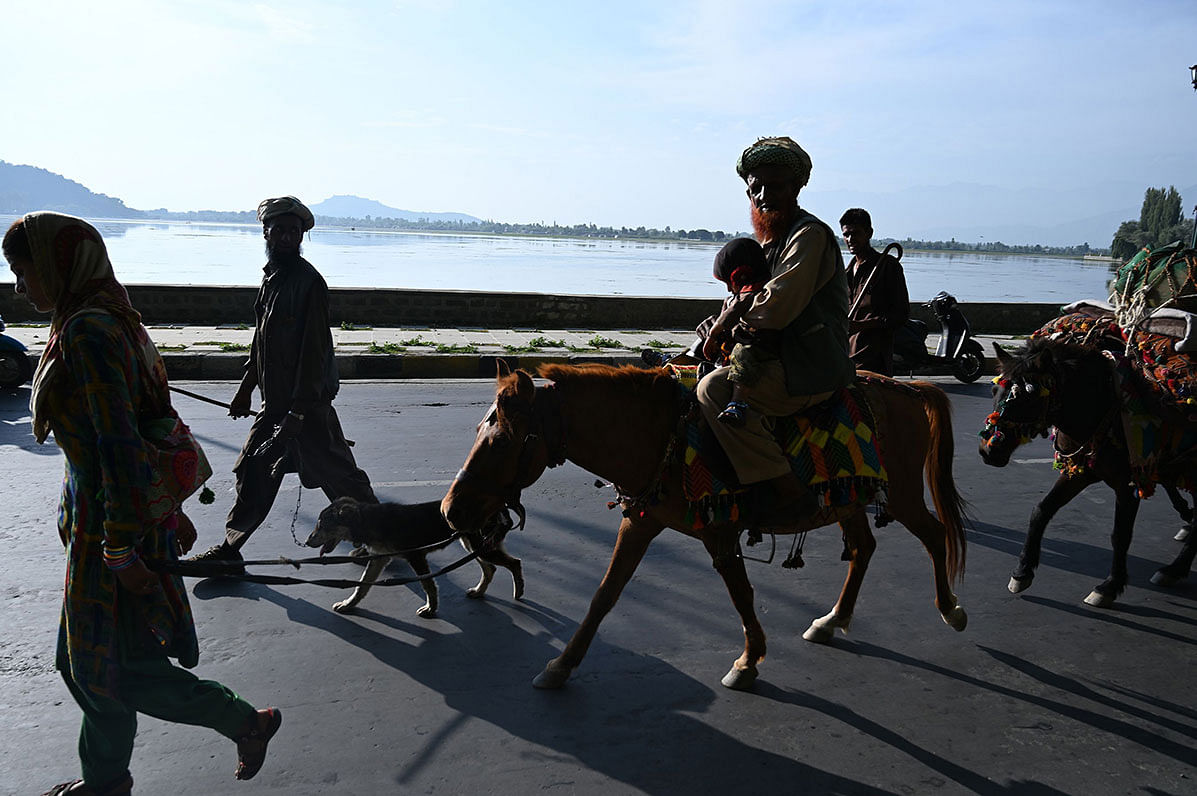 In this photo taken on 5 September, 2019, members of a Bakerwal nomadic group travel with their livestock near Dal Lake in Srinagar. Photo: AFP