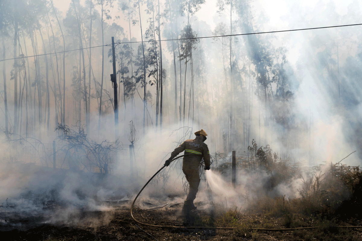 Firefighters help to put out a forest fire next to A1 motorway near Fontao, Portugal on 6 September 2019. Photo: Reuters