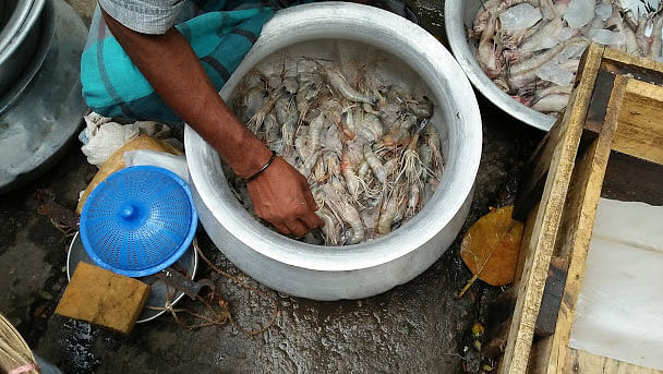 A man sorts shrimps in a pot at a street fish market. A recent photo by Nusrat Nowrin