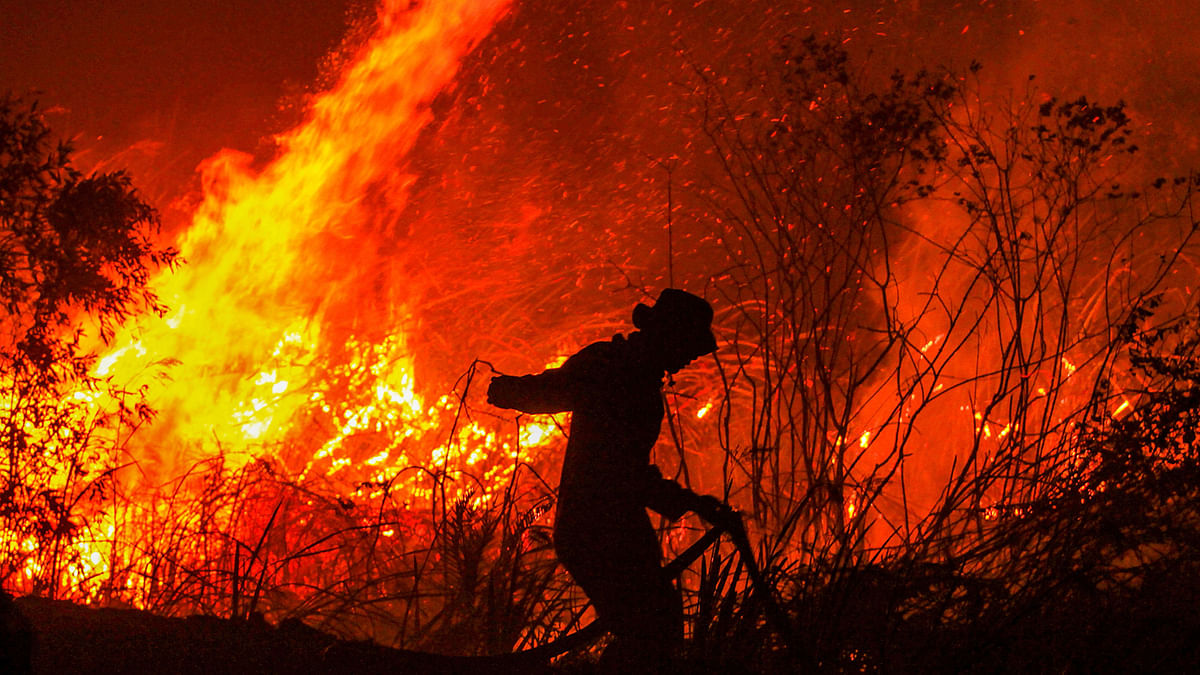 A firefighter extinguishes a fire in a forest at Rambutan village, in Ogan Ilir, South Sumatra province, on 11 September 2019. Photo: AFP