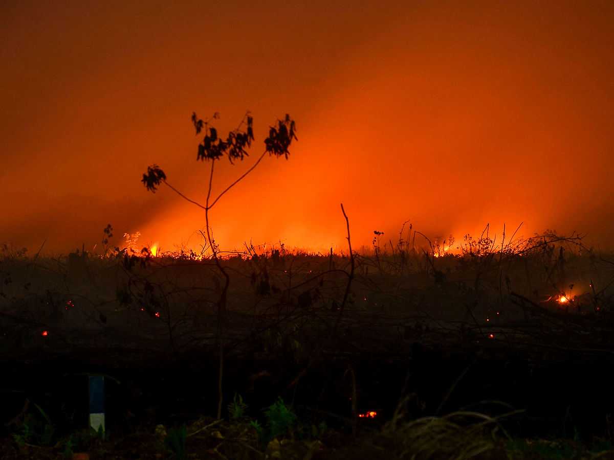This picture taken on 9 September shows forest fire lighting up the night sky in Kampar, Riau. Photo: AFP