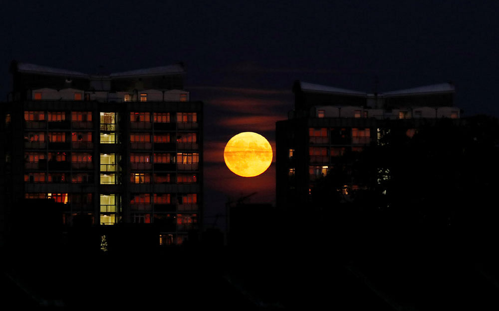 General view as the moon rises over residences nearby the stadium during of Kia Oval, London, Britain on 13 September 2019. Photo: Reuters