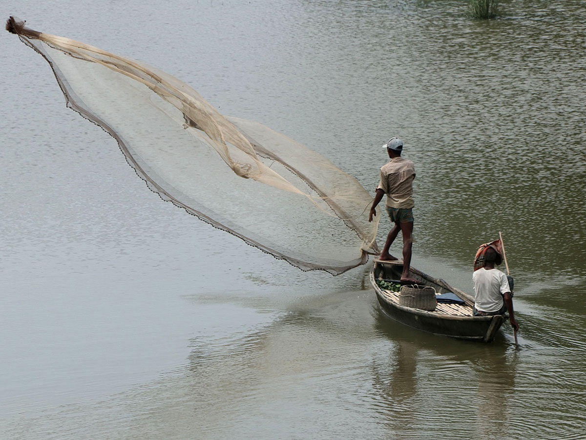 A man collects fish throwing a net in river Ichhamati at Gabtoli, Bogura on 15 September 2019. Photo: Soel Rana