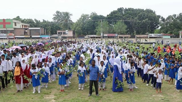 Bagha Model High School students plant trees on 16 September 2019. Photo: Prothom Alo