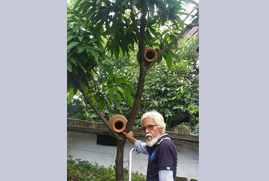 Khulna AB Culture Bird Breeders Society president Shabbir Ahmed Munna with earthen pitchers tied to trees. These pitchers are being used to make safe habitat for native species of birds. Photo: BSS