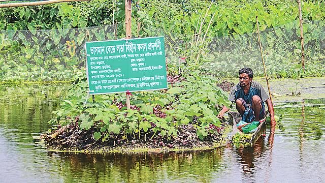 Landless farmers grow vegetables, and hope, on water