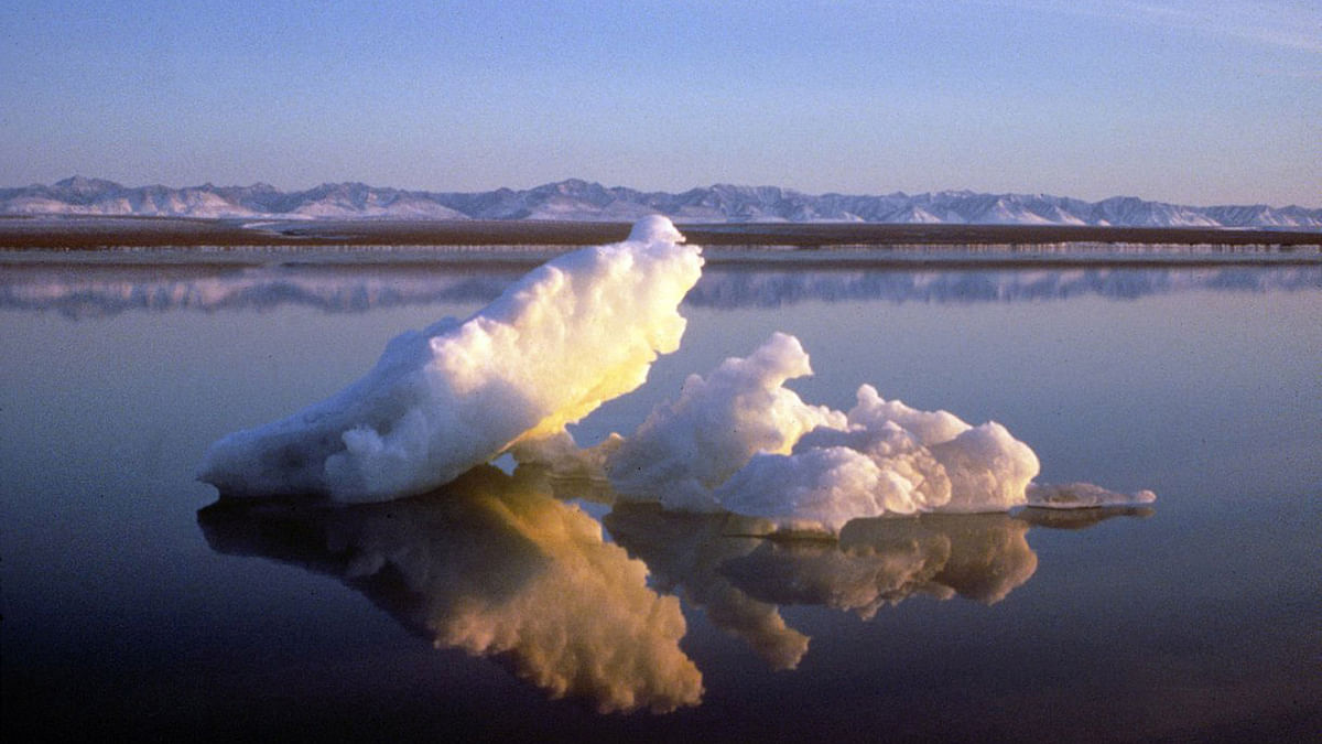 Ice: Sea ice floats within the 1002 Area of the Arctic National Wildlife Refuge. Photo: AFP
