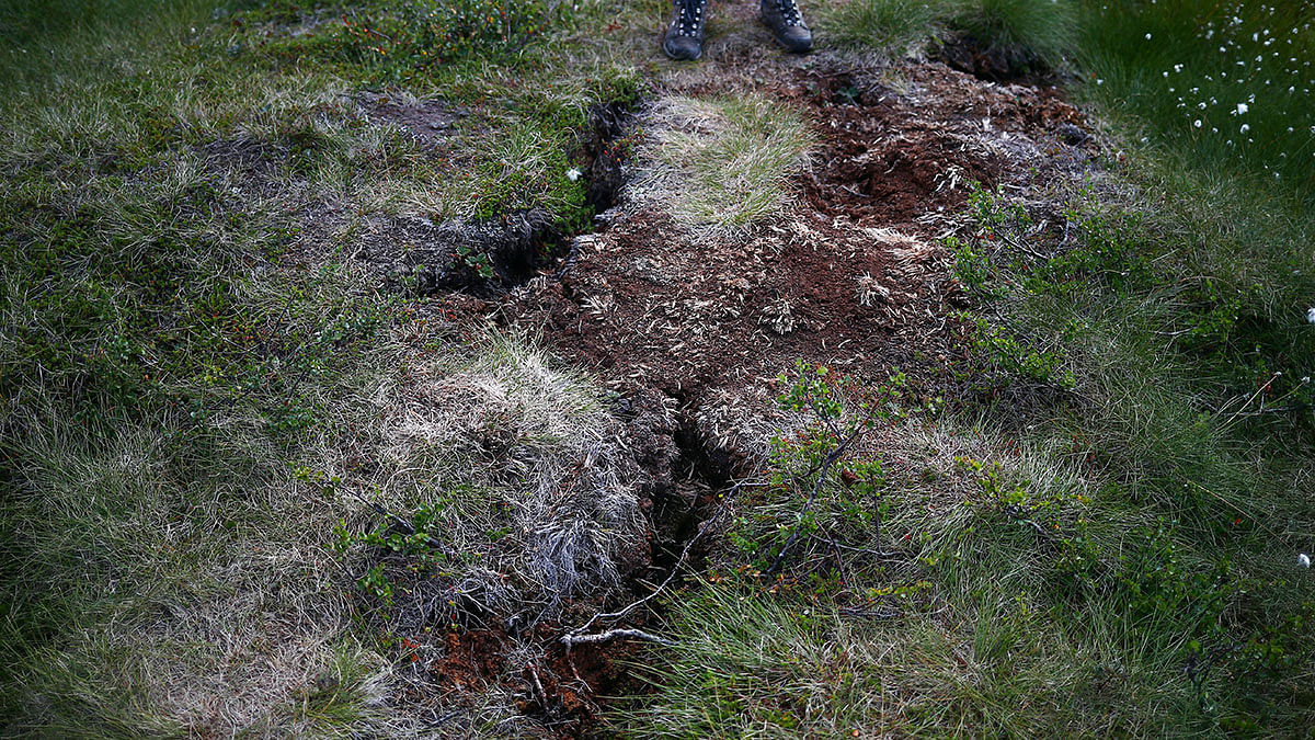 Methane researcher Kathryn Bennett stands next to an area of dry, cracked land that has appeared as the permafrost thaws at Stordalen Mire in northern Sweden. Photo: Reuters