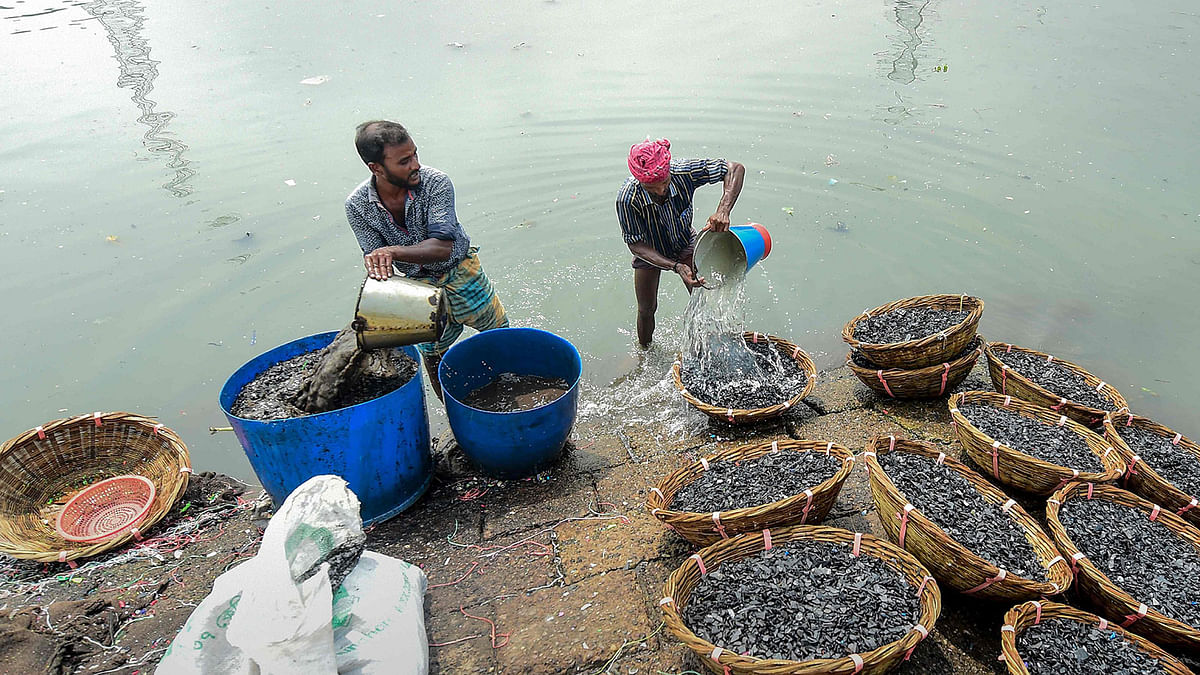 Workers clean recycled plastic chips on the banks of Buriganga river in Dhaka on 22 September 2019. Photo: AFP