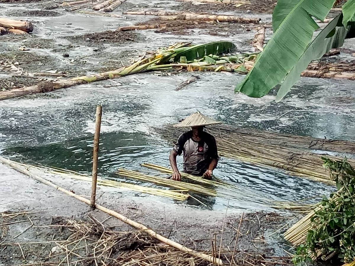 A man cleans jute in the water at Ulukanda, Faridpur on 23 September. Photo: Alimuzzaman