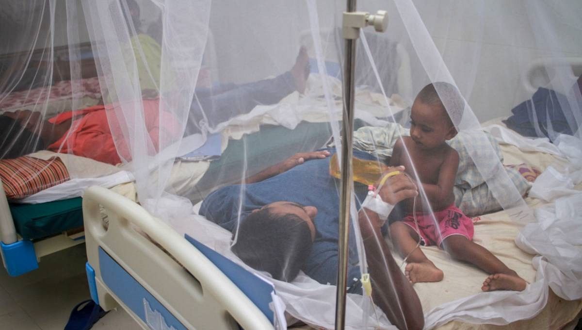 Dengue patients being treated at hospital. UNB File Photo