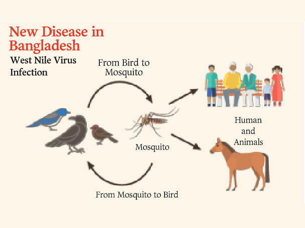 A Prothom Alo Infograph