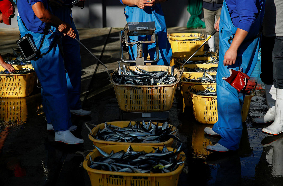 Fishermen weigh their catch at fish market in Ofunato, Japan 24 September, 2019. Photo: Reuters
