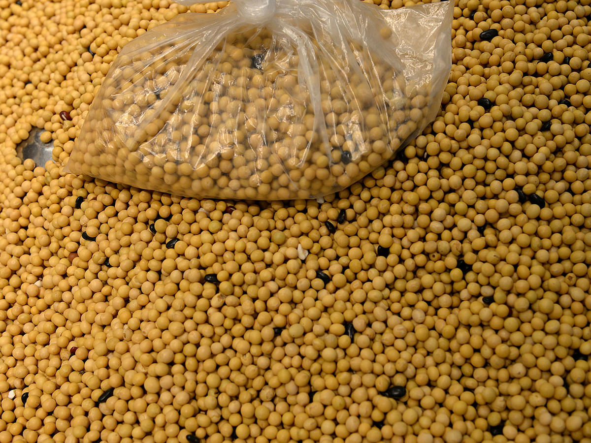 A bag of beans sits on top of soybeans at a Walmart in Beijing, China, on 23 September 2019. Photo: Reuters
