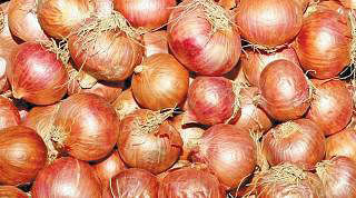 India bans onion exports. File photo