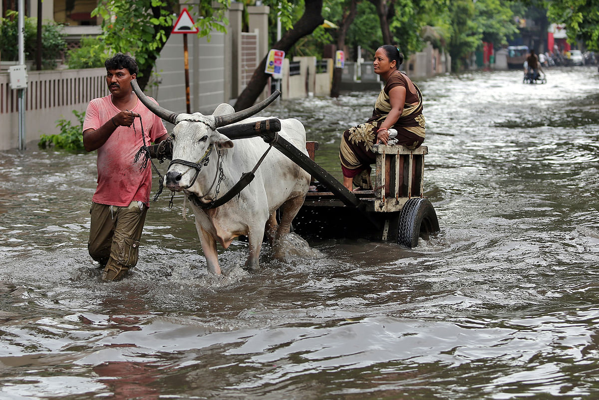 A man moves his oxcart through a waterlogged road after rains in Ahmedabad, India, 10 September 2019. Photo: Reuters