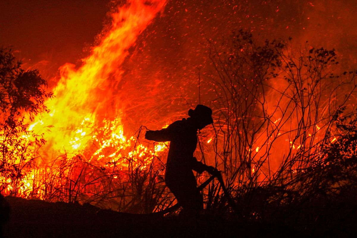 In this file photo taken on 11 September 2019, a firefighter extinguishes a fire in a forest at Rambutan village in Ogan Ilir, Indonesia`s South Sumatra province. Photo: AFP