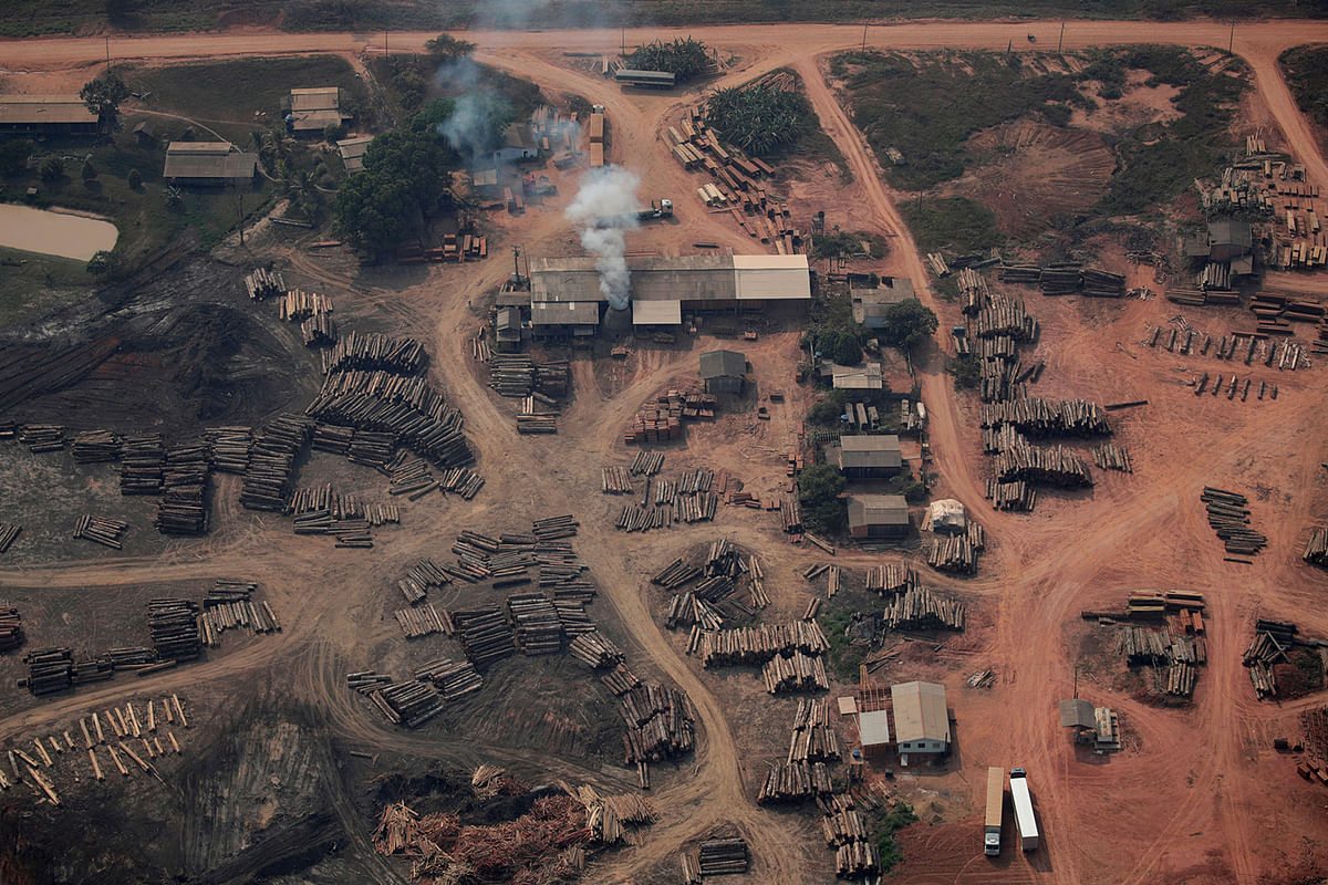 An aerial view of logs cut from Amazon rainforest near of the road BR-319 highway in city of Realidade. Photo: Reuters