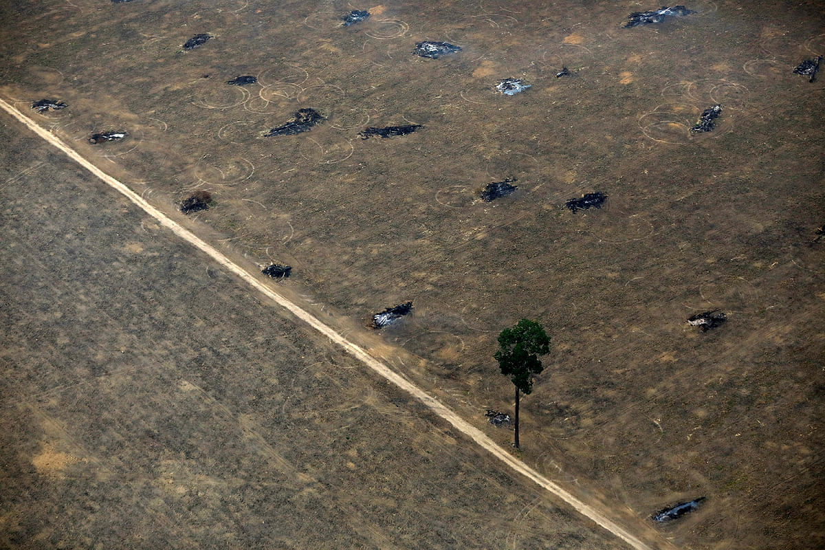 An aerial view of a tract of Amazon jungle after it was cleared by farmers in Itaituba. Photo: Reuters