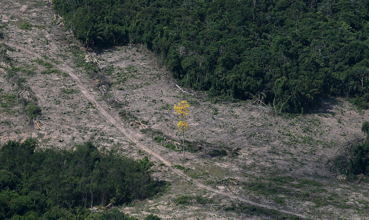 An aerial view of a tract of Amazon jungle after it was cleared by farmers in Itaituba. Photo: Reuters