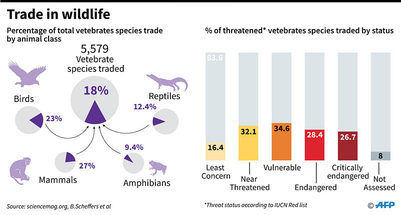 Graphic showing the percentage of different animal classes which are traded and the percentage of those under threat which are traded. Photo: AFP