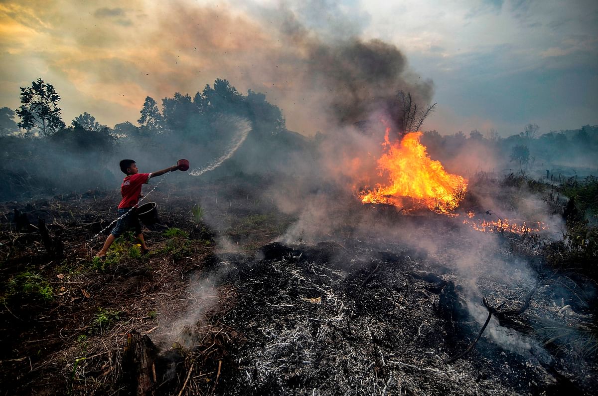 A young boy try to extinguish a fire at a peatland area near their neighbourhood in Pekanbaru, Riau province, on 4 October 2019. Photo: AFP
