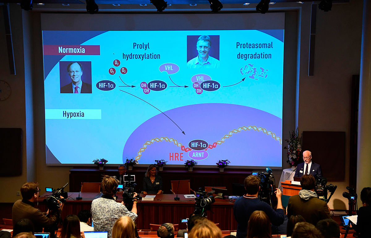 Nobel Assembly member Randall Johnson (R) speaks to explain the research field of the winners of the 2019 Nobel Prize in Physiology or Medicine after their names were announced during a press conference at the Karolinska Institute in Stockholm, Sweden, on 7 October 2019. Photo: AFP