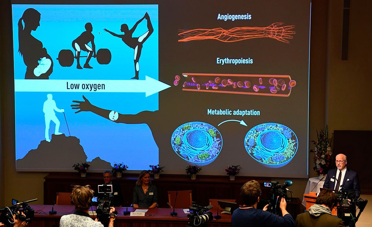 Nobel Assembly member Randall Johnson (R) speaks to explain the research field of the winners of the 2019 Nobel Prize in Physiology or Medicine after their names were announced during a press conference at the Karolinska Institute in Stockholm, Sweden, on 7 October 2019. Photo: AFP