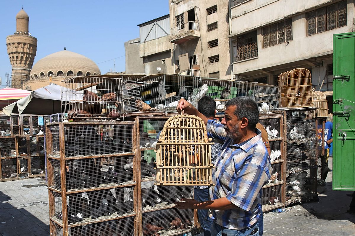 An Iraqi man holds a bird cage at al-Ghazal pet market in Iraq`s capital Baghdad on 11 October 2019. Photo: AFP