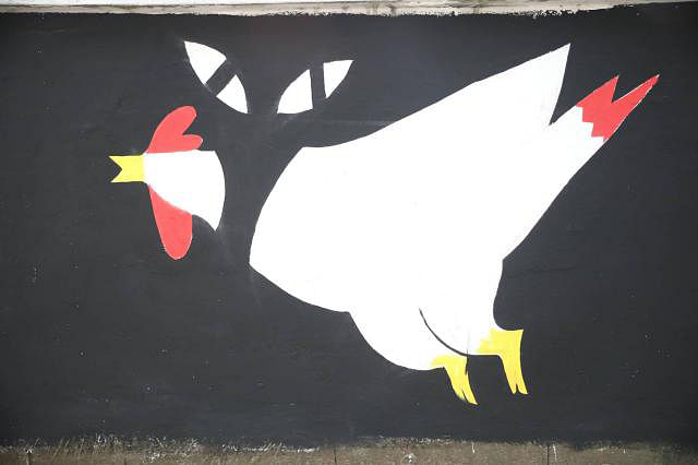 A severed bird along with the eyes of a wild animal has been painted protesting at Abrar murder.