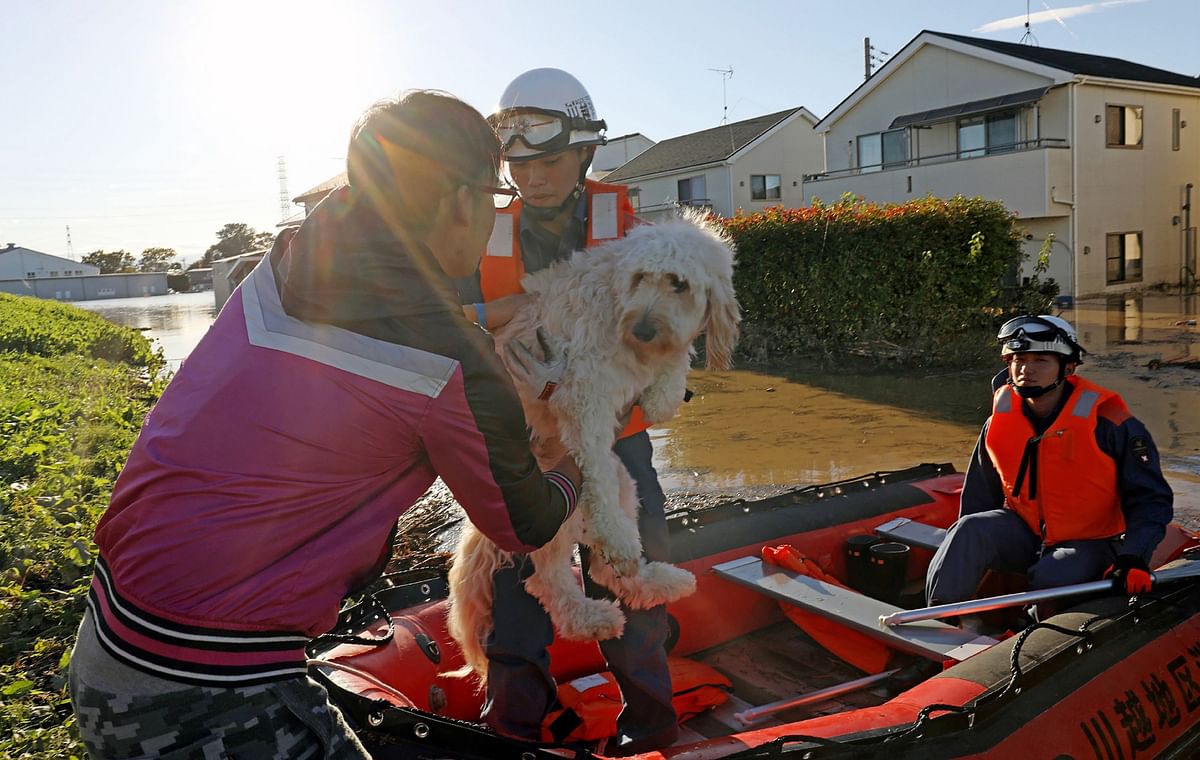 Fire department workers evacuate a dog (C) from a flooded area in Kawagoe, Saitama prefecture on 13 October 2019, one day after Typhoon Hagibis swept through central and eastern Japan. Photo: AFP