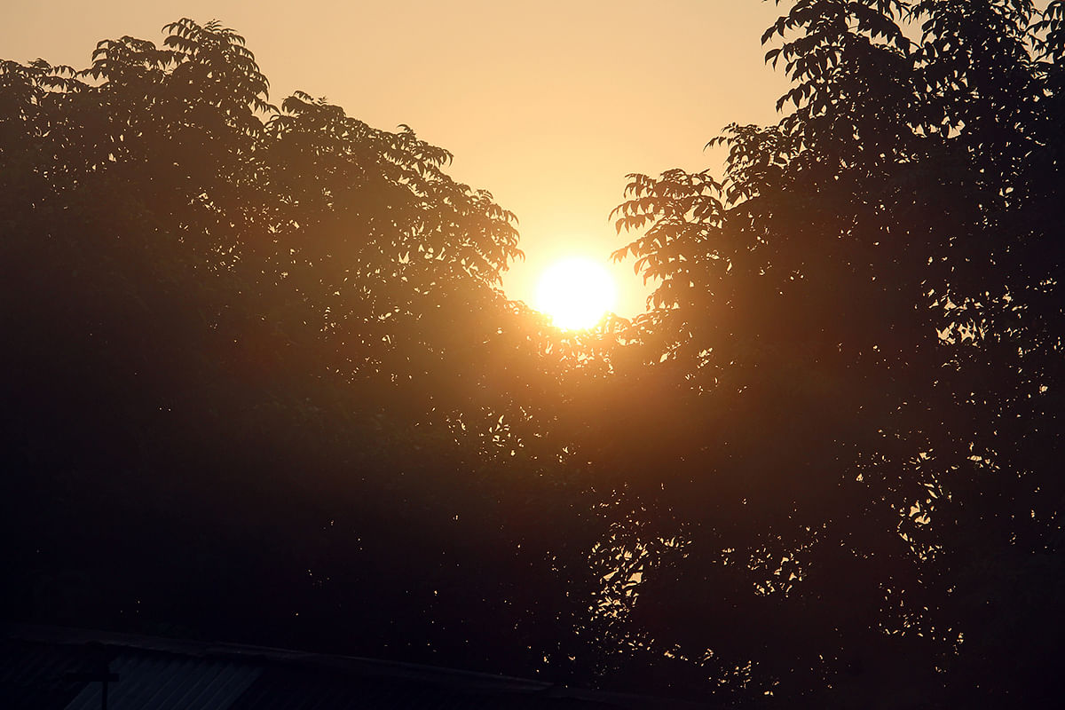 The sun rises in a foggy morning in Mollapatti area of Bhola on 14 October 2019. Photo: Neyamatullah